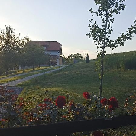 Ferienwohnung Stari Trsic Exterior foto