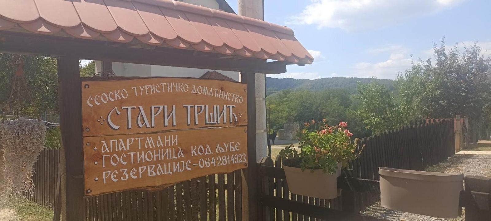 Ferienwohnung Stari Trsic Exterior foto