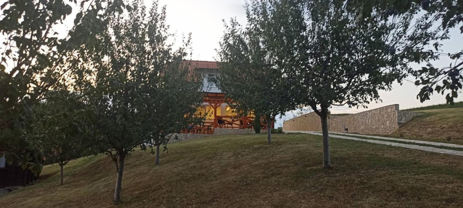 Ferienwohnung Stari Trsic Exterior foto