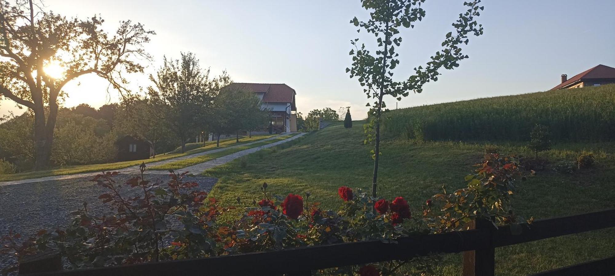 Ferienwohnung Stari Trsic Exterior foto